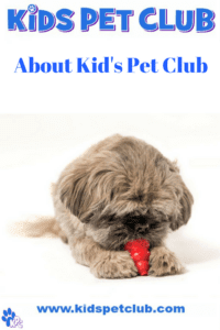 about kids pet club for parents and kids