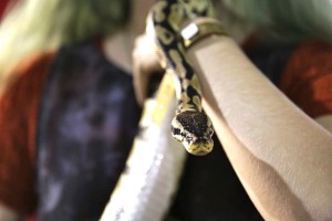 girl-holds-snake-for-kids-pet-club-at-the-toronto-christmas-pet-show-day-2