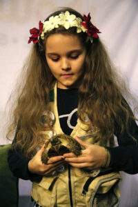 kids-pet-club-girl-with-turtle-1-at-the-toronto-christmas-pet-show-day-2