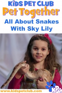 KPC All about snakes with sky lily
