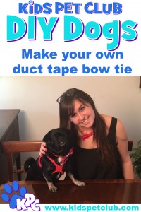 make your own duct tape bow tie