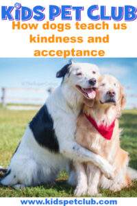 How dogs can teach us about kindness and acceptance