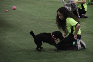 Jordan and Boots performing with Woofjocks