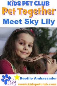 KPC Sky Lily Reptile Ambassador