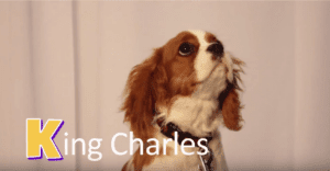 King Charles