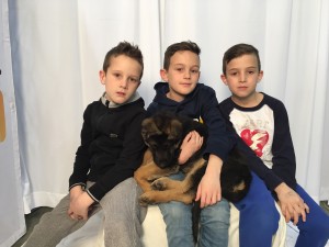 Brothers and new Dog Ambassadors Luca, Jack and Jordan