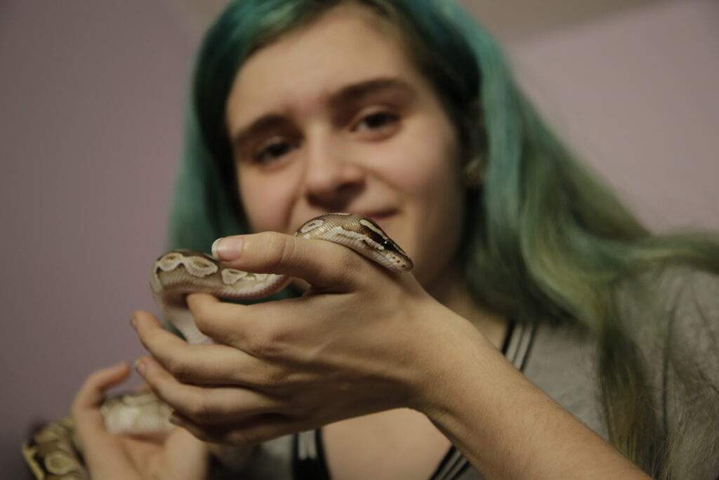 How To Handle Your Pet Snake Safely Kid's Pet Club