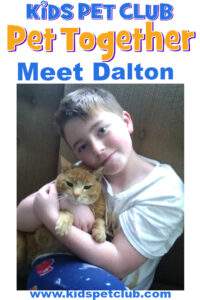 Meet Dalton cat ambassador