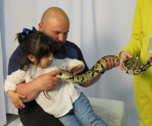 Raina showing a Dad and Daughter her snake