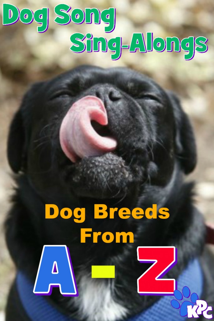 dog A-Z sing along