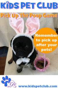 pick up the poop game clean up after your pets