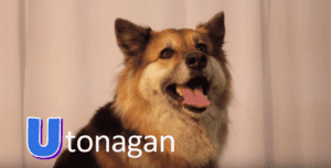 utonagan