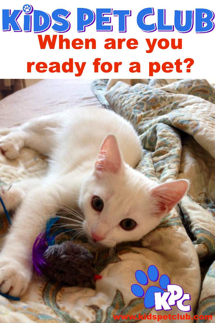 When Are You Ready For A Pet Questions To Ask Kid's Pet Club