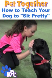 Ambassador Jordan shows you how to teach your dog the trick sit pretty in this short fun video