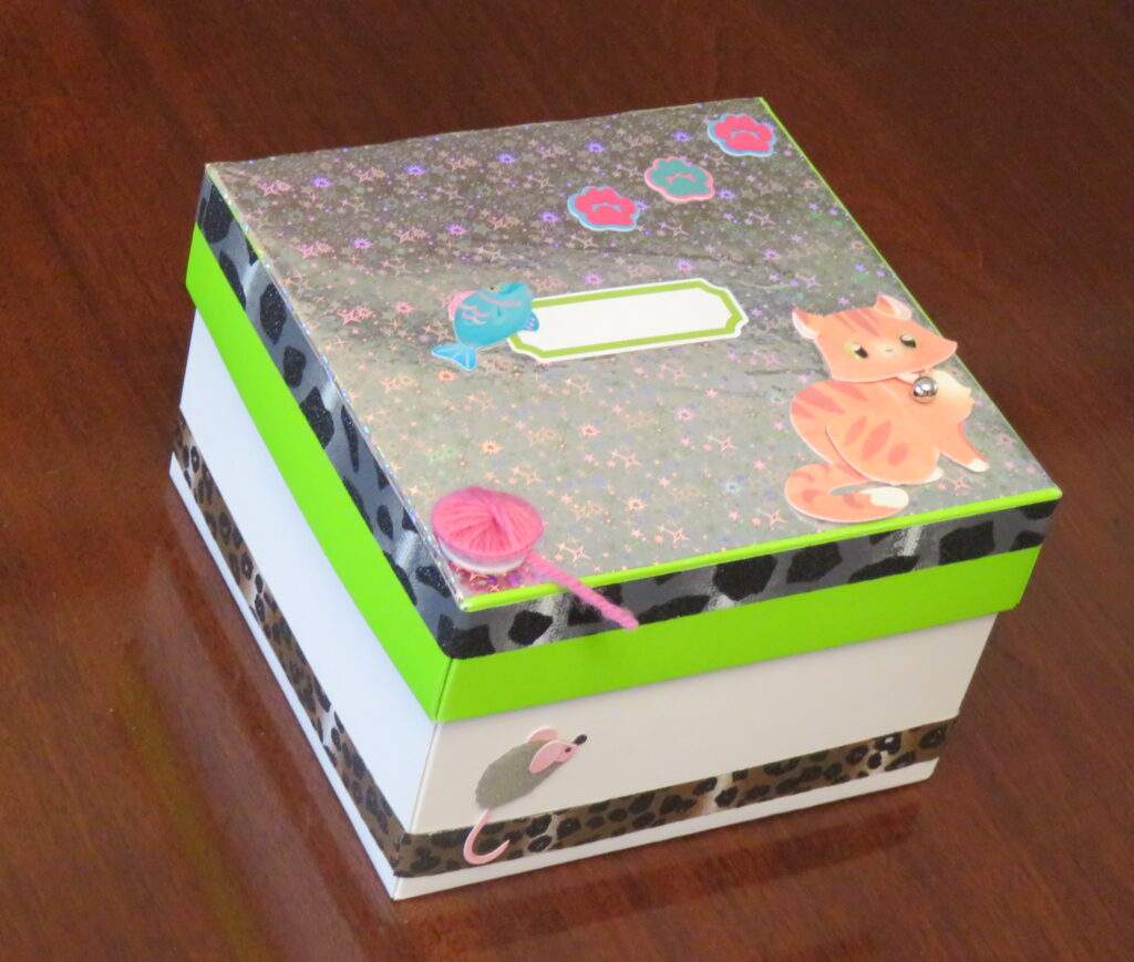 How To Make A Box Full Of DIY Cat Toys Kid's Pet Club