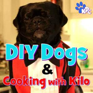 DIY Dogs and Cooking With Kilo Pin Board