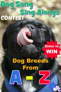 dog-breeds-from-A-Z-CONTEST