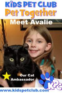 Meet Avalie our Cat Ambassador for Kids Pet Club