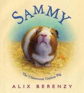 sammy the classroom guinea pig