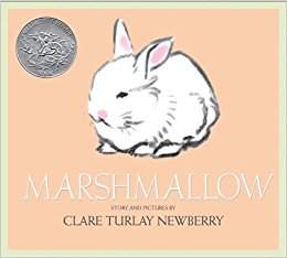 Marshmallow rabbit 