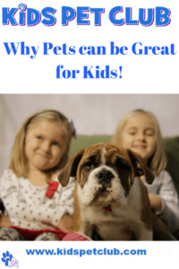 why pets can be great for kids by kids pet club