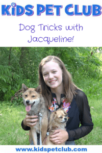 Train your dog to do cute tricks with easy tips from Jacqueline