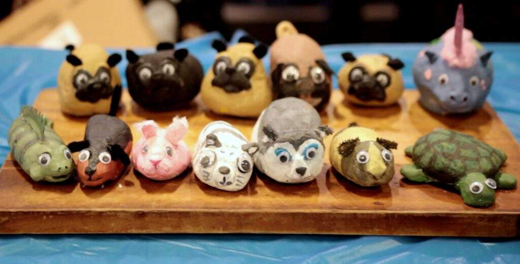 1 pet rocks set Kid's Pet Club