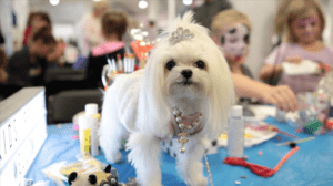 Ms. Charmin on the table with kids at Fall Canadian Pet Expo