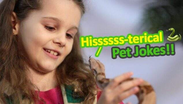Have you heard these 10 hiss-terical Pet Jokes from Popcorn the Snake and Kilo the Pug?