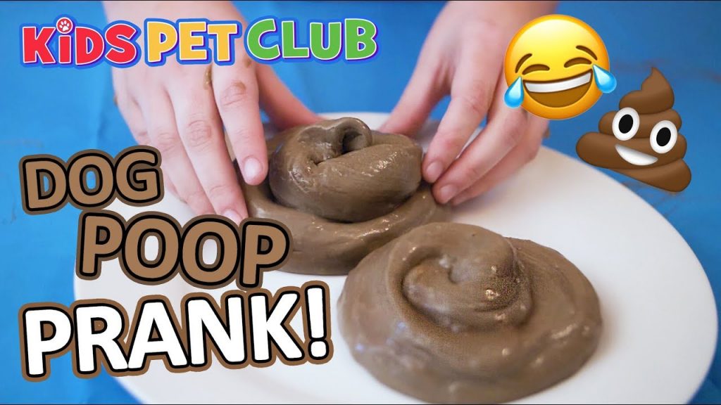 How To Make Poop Slime and Play the Best Dog Poop Prank Ever