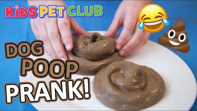How To Make Poop Slime and Play the Best Dog Poop Prank Ever