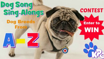 Are you our next star? Enter the Dog Song Sing-Along Remix Contest